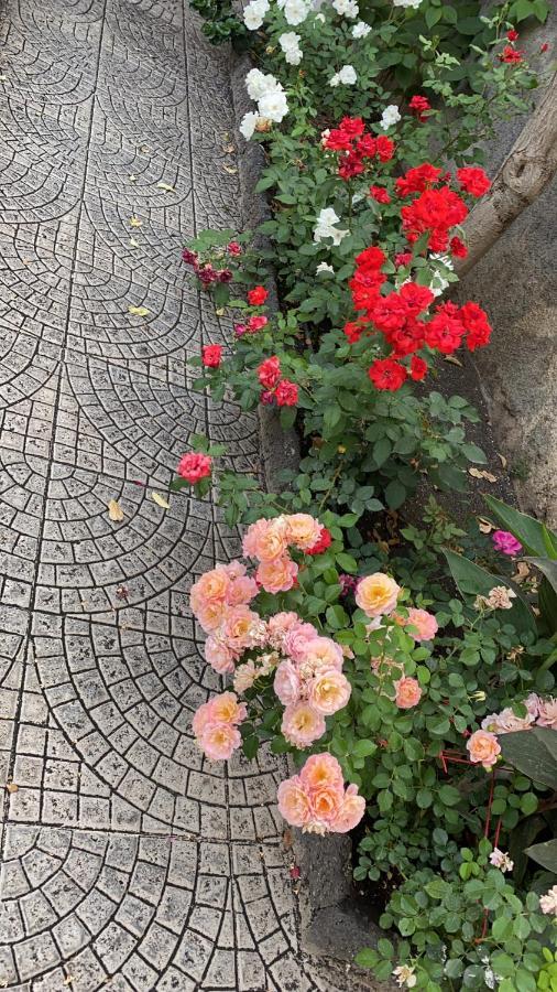 Casa Delle Rose Villa Catánia Buitenkant foto
